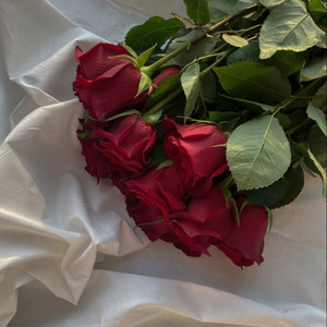 Luna Velvet - My Angel ,My Love