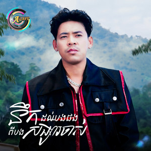 នឹកដល់បងផងពីបងសង្សារចាស់ by រាជ ប្រាថ្នា