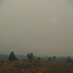 A Hazy Wedding by Paris Street