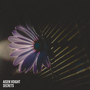 Secrets by Aisen Voight