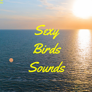 Sexy Bird Sounds album