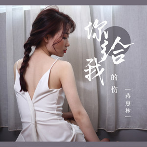你给我的伤 - DJ默涵版 by 蒋蕙林