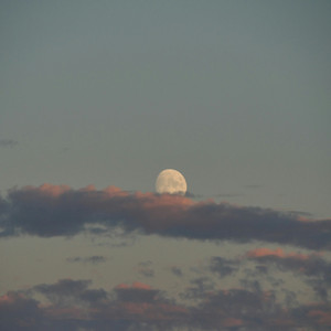 Full Moon by Brandon Hargrave