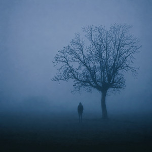 Poison Tree (Ambient Rework) by in my space, schwinn., oretti.