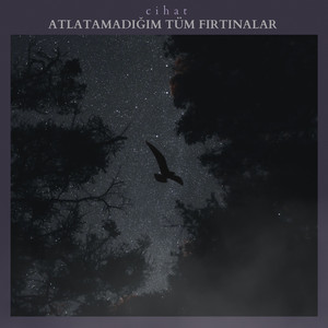 ATLATAMADIĞIM TÜM FIRTINALAR