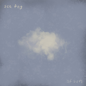 See Fog