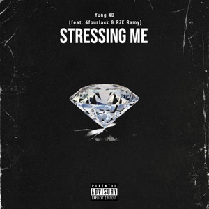 Portada de Stressing Me