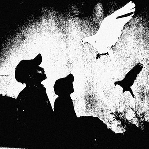 dove by ukiyo!