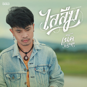 ไลลืม - Cover Version by เน็ค นฤพล