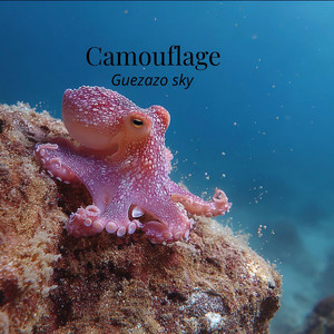 Camouflage by Guezazo sky