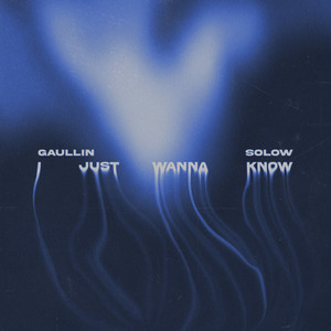 I Just Wanna Know - Slowed by Gaullin, SoLow