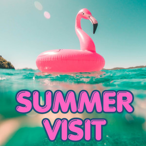 SUMMER VISIT by 326 YASUBE-