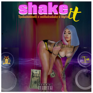 Portada de Shake it