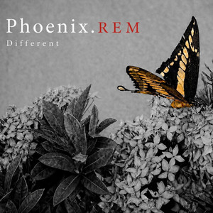 Different by Phoenix.REM
