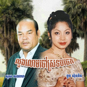 PP-Music - លួងលោមចៅស្រទបចេក (Remake Music)