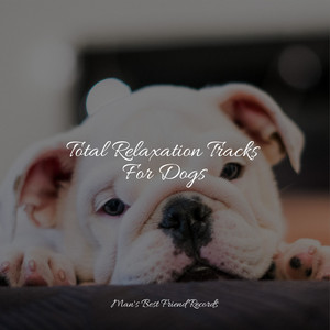 Total Relaxation Tracks For Dogs album