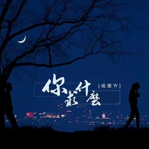 你求什么 - DJ版 by 威廉W