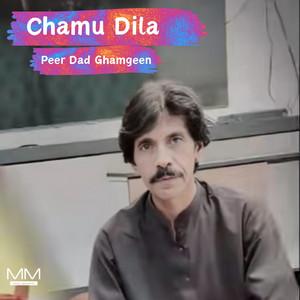 Peer Dad Ghamgeen - Char Makan