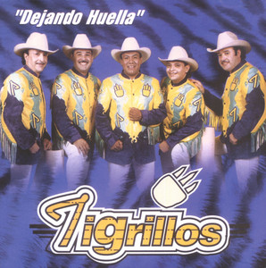 El tikita by Los Tigrillos