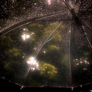 rain by Yandel Davis
