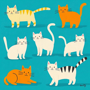 The Trend - Miado Maluco