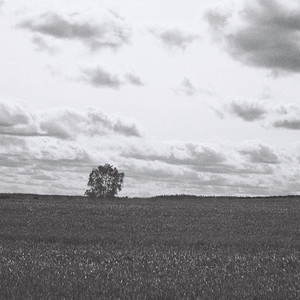 Go Back by Wynd