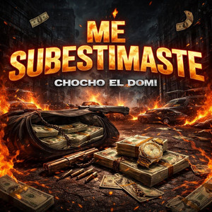 ME SUBESTIMASTE