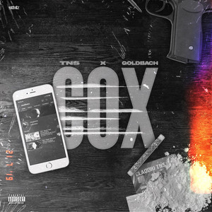 COX by TNS, Goldbach