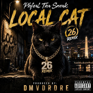 LOCAL CAT (26) remx by Phfeel Tha Sneak