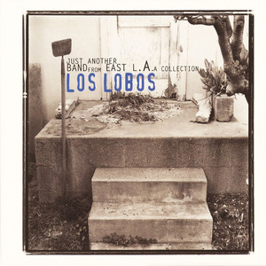 Come On, Let's Go by Los Lobos
