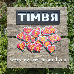 Wrap my arms around you by Timbr