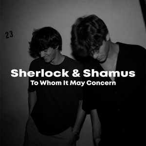Lost In The Night by Sherlock & Shamus