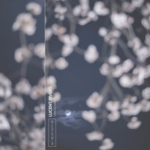 Yoru no Sakura