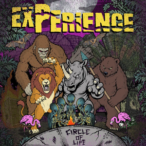 Back of My Head by Experience
