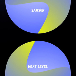 Next Level - Radio Edit by Samson
