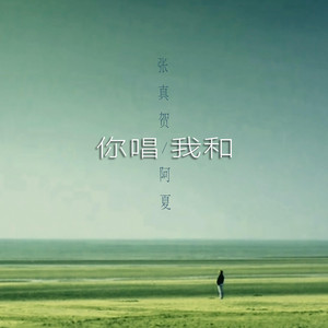 你唱我和 - 和声伴奏版 by 张真贺, 阿夏