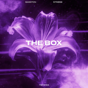 THE BOX (TECHNO) cover art