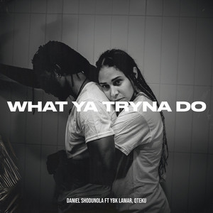what ya tryna do by DanEGZ, YBK Lamar, Qteku