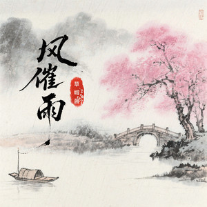 风催雨2025 (DJ阿泽版)