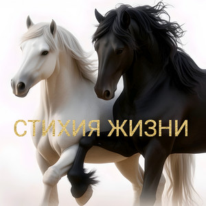 Чёрный Скакун by PUTNIZA