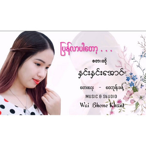 HNIN HNIN AUNG - Pyan Lar Par Top