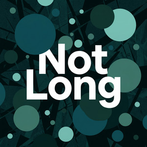 Not Long by Rumi Nyles