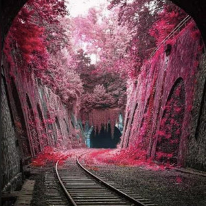 TrackFactoryEnt - Mama's Prayer