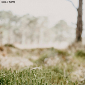 Naked As We Came by Lennon VanderDoes, Jordan Moyes