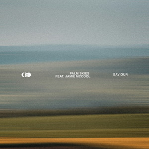 Saviour by Palm Skies, Jamie McCool
