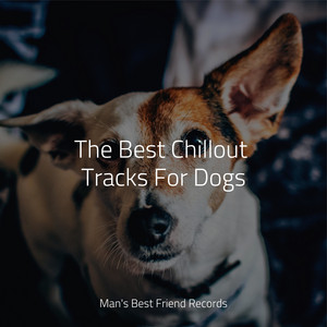 The Best Chillout Tracks For Dogs album