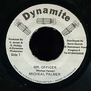 Mr. Officer by Michael Palmer