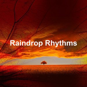 Raindrop Rhythms