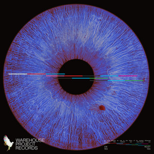 YES YES (Extended) by Joe Rolét