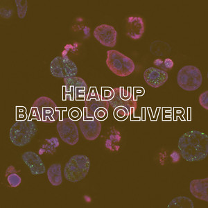 Head up by Bartolo Oliveri
